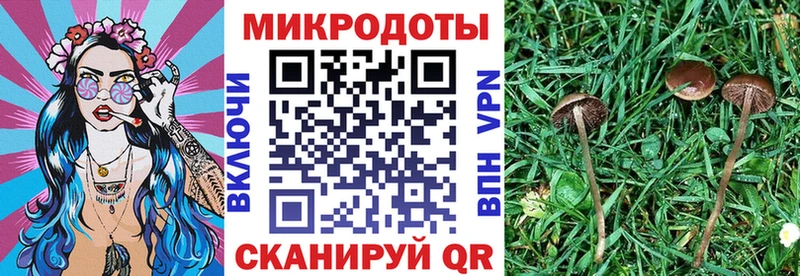 Купить  Иланский  Псилоцибиновые грибы Magic Shrooms 